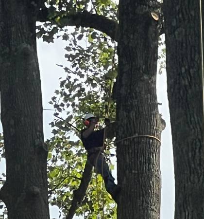 WhatsApp Image 2025-11-18 at 4.48.18 AM (3)