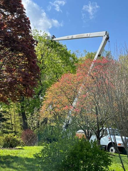 WhatsApp Image 2025-11-18 at 4.48.18 AM (5)