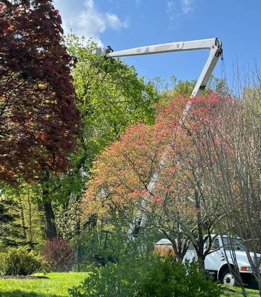 WhatsApp Image 2025-11-18 at 4.48.18 AM (5)