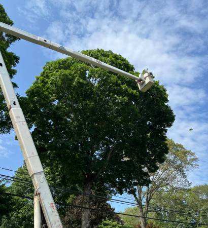 WhatsApp Image 2025-11-21 at 9.21.09 PM